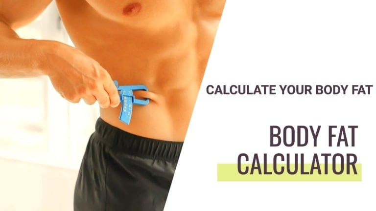 Body Fat Calculator